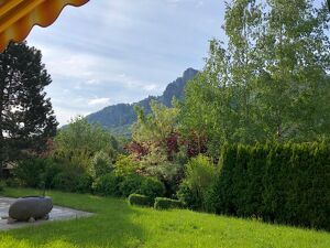 Top 4-Zimmer-Wohnung mit Terrasse in herrlicher Lage