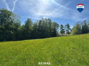 Attraktives Baugrundst&uuml;ck in idyllischer Waldrandlage | Am Sommerberg, Aschach an der Donau | Ohne Bauzwang