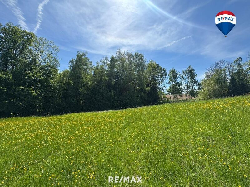 Attraktives Baugrundstück in idyllischer Waldrandlage | Am Sommerberg, Aschach an der Donau | Ohne Bauzwang