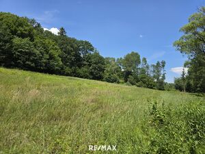 Landwirtschaftliches Grundst&uuml;ck