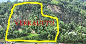 Mischwald in Zellach zu verkaufen!