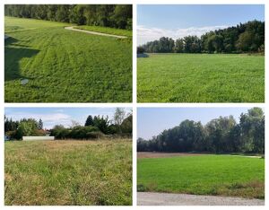 Randlage Andorf - Sch&ouml;nes Grundst&uuml;ck mit Bauverpflichtung