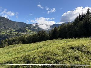 Zwei Freilandfl&auml;chen mit vielseitiger landwirtschaftlicher Nutzung in Sautens!