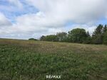Landwirtschaftliche Grundst&uuml;cke samt Wald in Stadtschlaining