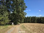 Waldgrundst&uuml;cke in Deutsch Kaltenbrunn