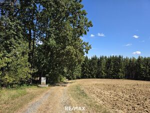 Waldgrundst&uuml;cke in Deutsch Kaltenbrunn