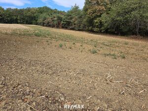 Landwirtschaftliche Grundst&uuml;cke in Neuberg