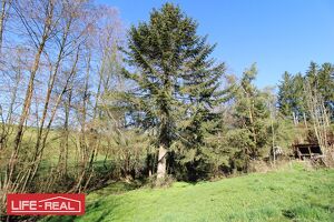 Gro&szlig;z&uuml;giges Grundst&uuml;ck mit Altbestand & Potential