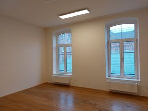 NEU: Klimatisiertes B&uuml;ro in Maria Enzersdorf