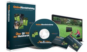 Online Hundetraining - Videokurs