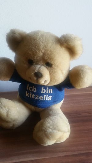 Sprechender Teddybär