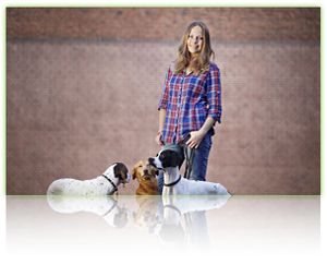 Einzigartiges ONLINE Hundetraining