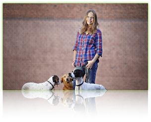 Einzigartiges ONLINE Hundetraining