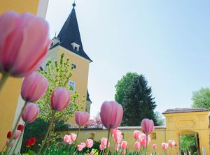 Ostermarkt Schloss Mühldorf