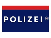 133 - Polizei