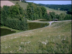 Sportfischen - Teichwirtschaft Liener