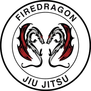 Firedragon - Anerkannte Kampfsportschulen