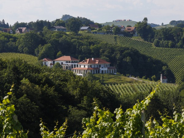 Das Weingut am Seggauberg