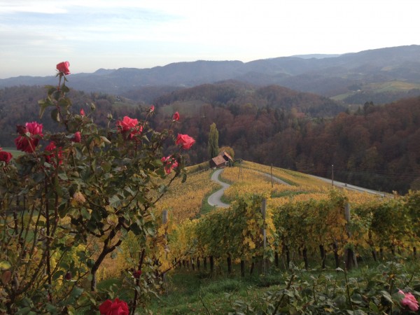 Herbstliche Herzerlstrasse