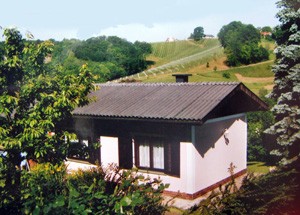 Ferienhaus Zangl