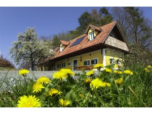 Weinhof-Winzerhaus OSWALD