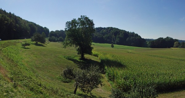 Herz in der Wiese Panorama