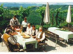 Weingut Buschenschank Maier vlg. Winkelbauer