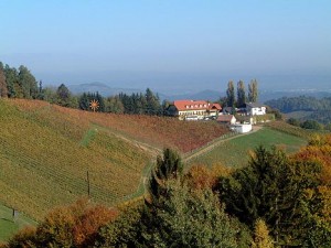 Weingut - Buschenschank Zuser