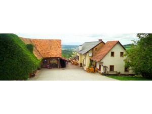 Weingut Buschenschank Schmölzer