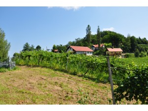 Weinbau Buschenschank Zeck vlg. Reschkeller