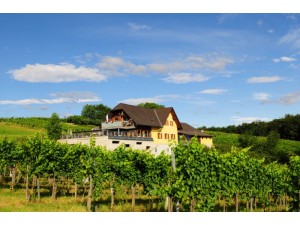 Weingut Buschenschank Strauss vlg. Wenzl