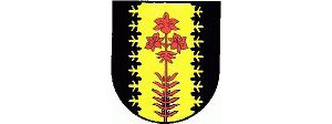 Gemeinde Rinegg