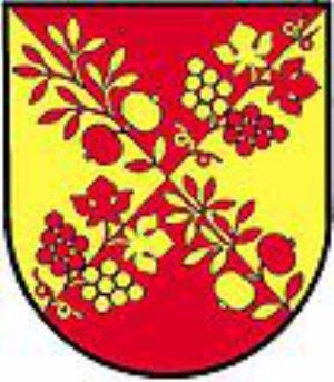 Gemeinde Nitscha