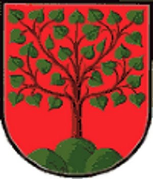 Marktgemeinde Anger