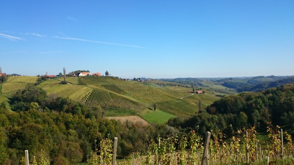 Blick auf die Herzerlstrae vom Genztisch in Glanz - Kungota