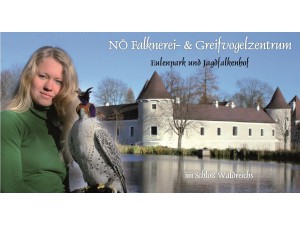 NÖ Falknerei- & Greifvogelzentrum - Schloß Waldreichs