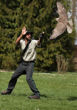 Freiflugvorfhrung Mai2015