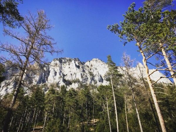 Aussicht auf die Berge vom Grnen See aus