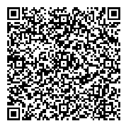 QR-Code von Antiquitäten - Greißlerei