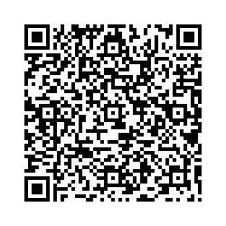 QR-Code von Pest- oder Mariensäule