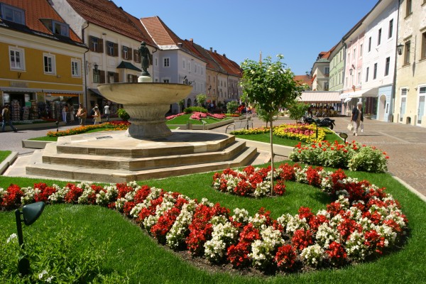 Hauplatz Blumen geschmckt