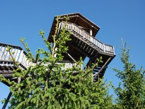 Wipfelwanderweg Almfrische Rachau