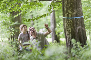 Waldführung im FriedWald Schöcklland