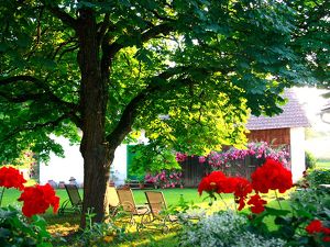 SOMMER RETREAT Yin Yoga & Meditation Naturidylle Südburgenland "Lass los was Dich nicht glücklich macht"