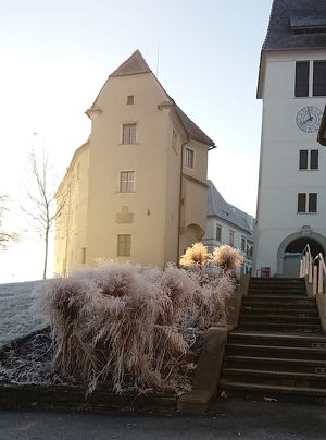 Steirischer Schlossbrunch am 2. Adventsonntag mit Live-Musik