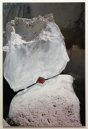 HOCHsommer 2020: ANIMA MUNDI. Alice von Alten, Pia Veronica Åström, Maria Chalela-Puccini, Anne Glassner, Priscilla Hasenböhler, Verena Preininger