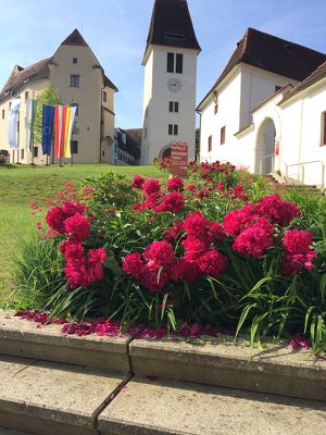 Steirischer Schlossbrunch am Palmsonntag mit Live-Musik im Schloss Seggau