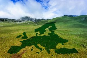 Decarbonized Value Chain: In 5 Schritten zu Nachhaltigkeit im Unternehmen
