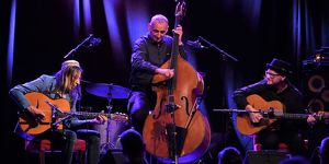 Harri Stojka - Hot Swing Trio