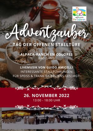 Tag der offenen Stalltür -Alpakas Encolores